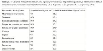 IMG_2139.jpeg
