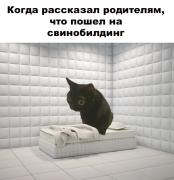 -пРиКоЛы-ДлЯ-дАуНоВ-разное-котє-8935242.jpg