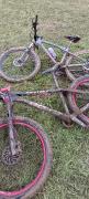 IMG-20250615-WA0021.jpg