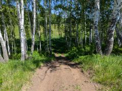 PXL_20250601_060632481.jpg