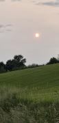 20250607_202656.jpg
