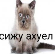 ce6506c28be407a21d854ac85e82d9b6.jpg
