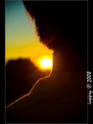 2692431796_f376a3d448_o.jpg
