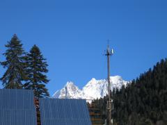 IMG_0367.jpg