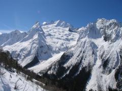 IMG_0388.jpg