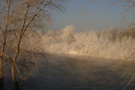 DSC01050.JPG