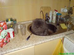 DSC00163.JPG