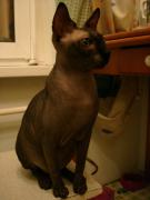 DSC00168.JPG