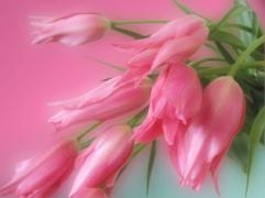 393_1024.jpg