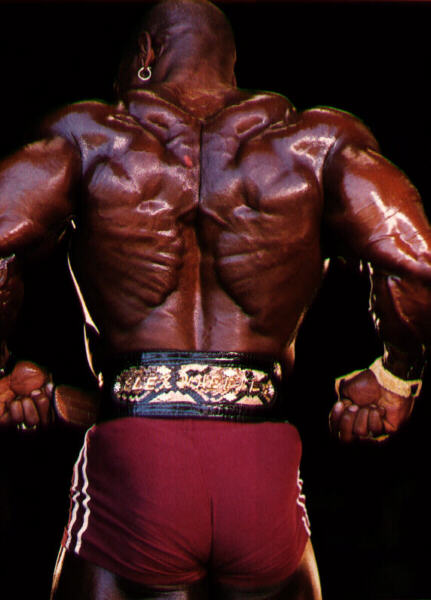 Flex Wheeler спина