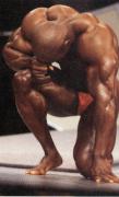 Flex_Wheeler_59.jpg