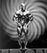 Flex_Wheeler_290.jpg