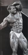 Flex_Wheeler_300.jpg