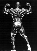 Flex_Wheeler_341.jpg