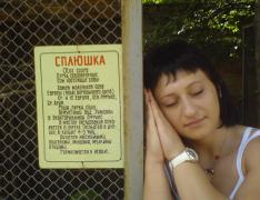 DSC09764.jpg