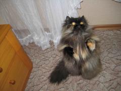 IMG_0572.JPG