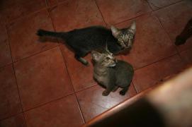 IMG_2407.JPG