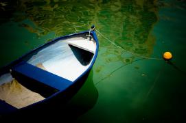 IMG_5716_.jpg