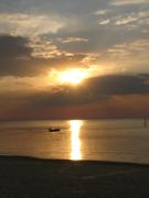 IMG_0883.jpg