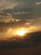 IMG_0884.jpg