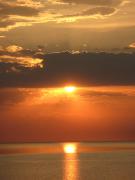 IMG_0886.jpg