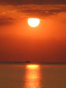 IMG_0893.jpg