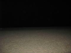 IMG_0917.jpg