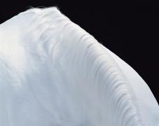 24_12_2007_0021326001198496481_tim_flach.jpg