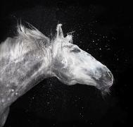 24_12_2007_0077206001198496481_tim_flach.jpg