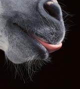 24_12_2007_0113020001198496481_tim_flach.jpg