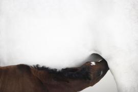 24_12_2007_0143118001198496480_tim_flach.jpg