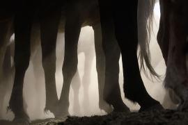 24_12_2007_0170907001198496480_tim_flach.jpg