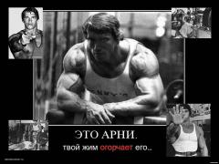 Arny_bench_press.jpg