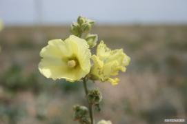 море_038.jpg