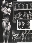 frankzane5.jpg