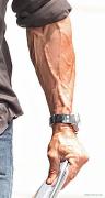 stallone_veiny.jpg