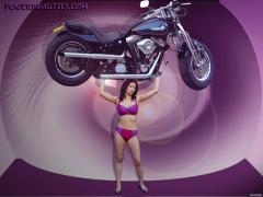 chitravia_harley_lift_art.jpg