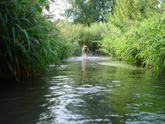 DSC04380.JPG