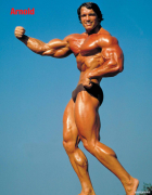 arnold01.png