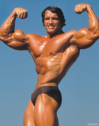 arnold02.png