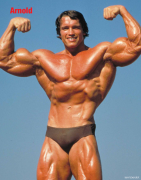 arnold03.png