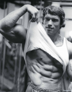 arnold04.png