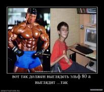 284962_vot_tak_dolzhen_vyiglyadet_elf_80_a_vyiglyadit_tak.jpg