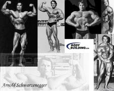 Arnold_Wallpaper.jpg