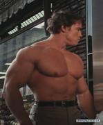 off_season_arnold_schwarzenegger_offseason.jpg