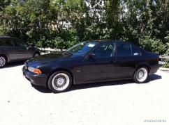 bmw_54.jpg