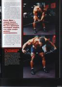 Kris_Dim_delts_06.jpg