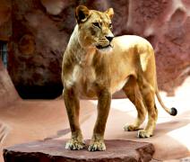 DSC05075.JPG