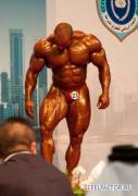 salama_qatar_beast.jpg