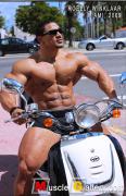 roelly_01.jpg